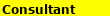 Consultant